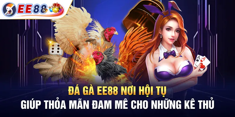Giới thiệu sảnh đá gà EE88