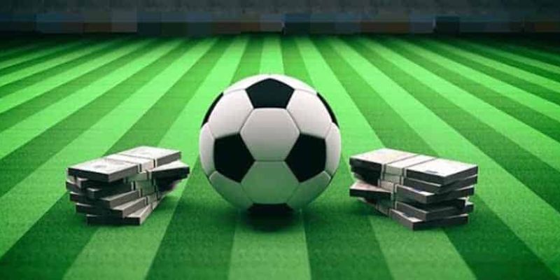 Kinh nghiệm đánh HDP 0.5-1 trái chính xác
