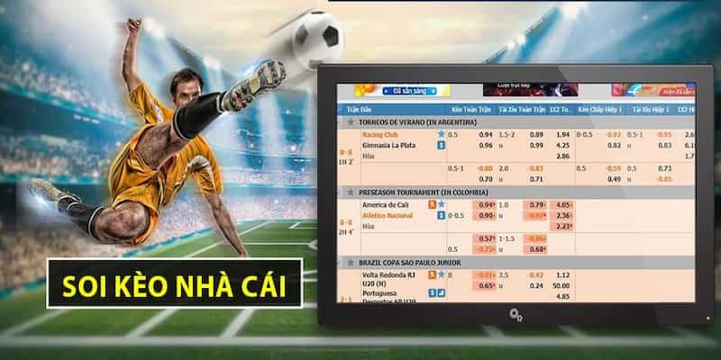 Tỷ lệ cá cược được phân phối nhanh nhất