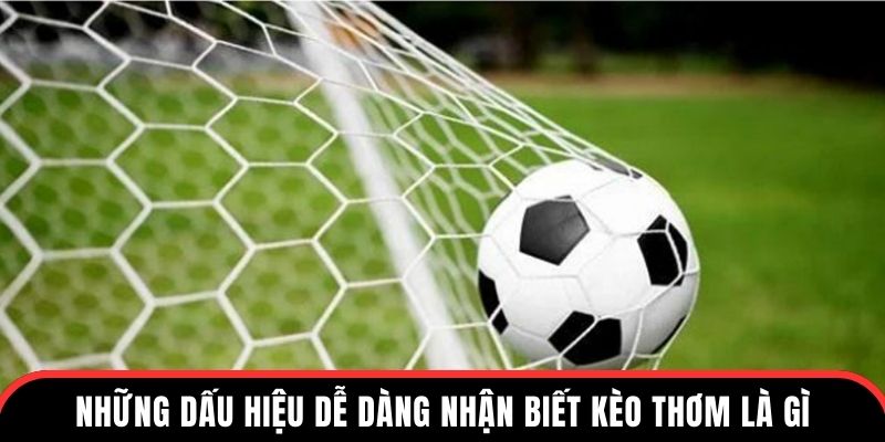 Những dấu hiệu dễ dàng nhận biết kèo thơm