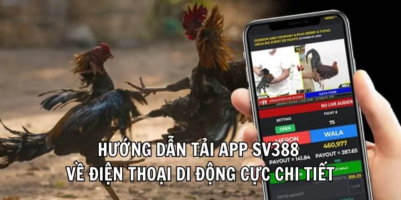 Cách đăng ký và truy cập vào sảnh SV388